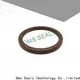 DMS Seals high quality automobile oil seal with low radial forces for housing 1