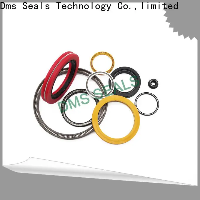 DMS Seals Quality spring energized seals company for valves 1