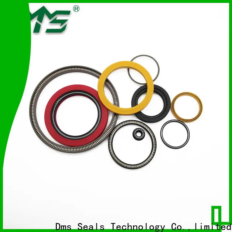 DMS Seals spring energized seals company for fracturing 1