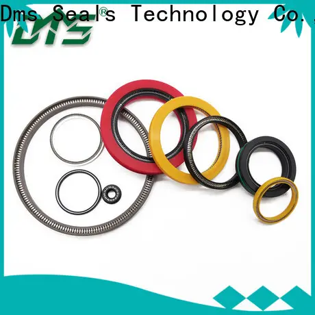 DMS Seals Top spring energized seals suppliers for choke lines 1