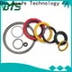 DMS Seals Top spring energized seals suppliers for choke lines 1