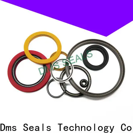 DMS Seals Quality parker spring energized seals supply for cementing 1