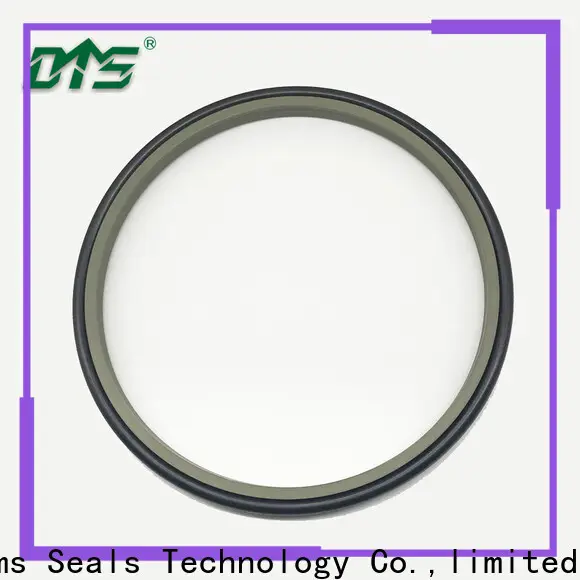 DMS Seals Custom wiper ring company for injection molding machine 1