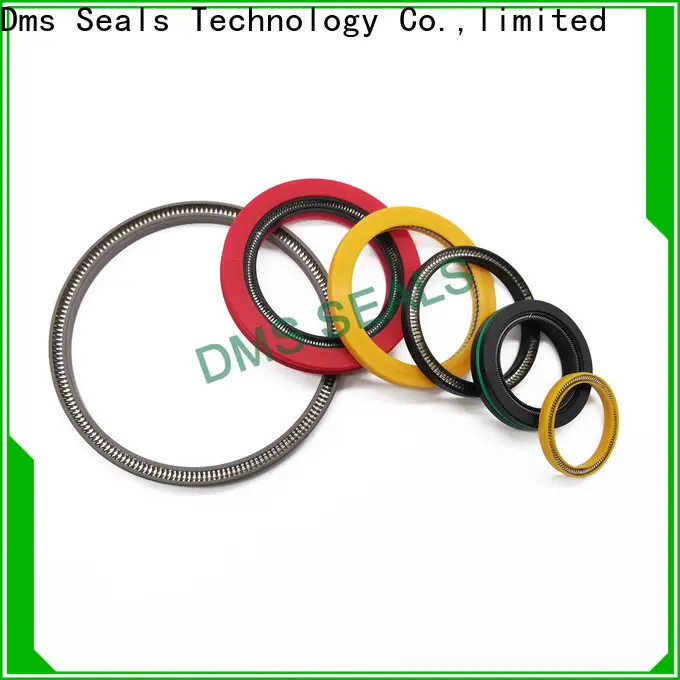 Professional spring energised seal suppliers for valves 1