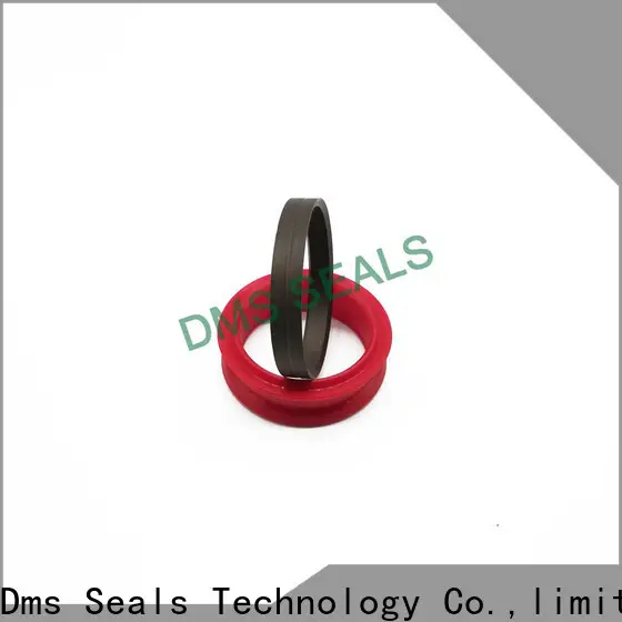DMS Seals best container seal manufacturers glyd ring 1