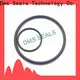 Best oring sizes metric for business in highly aggressive chemical processing 1