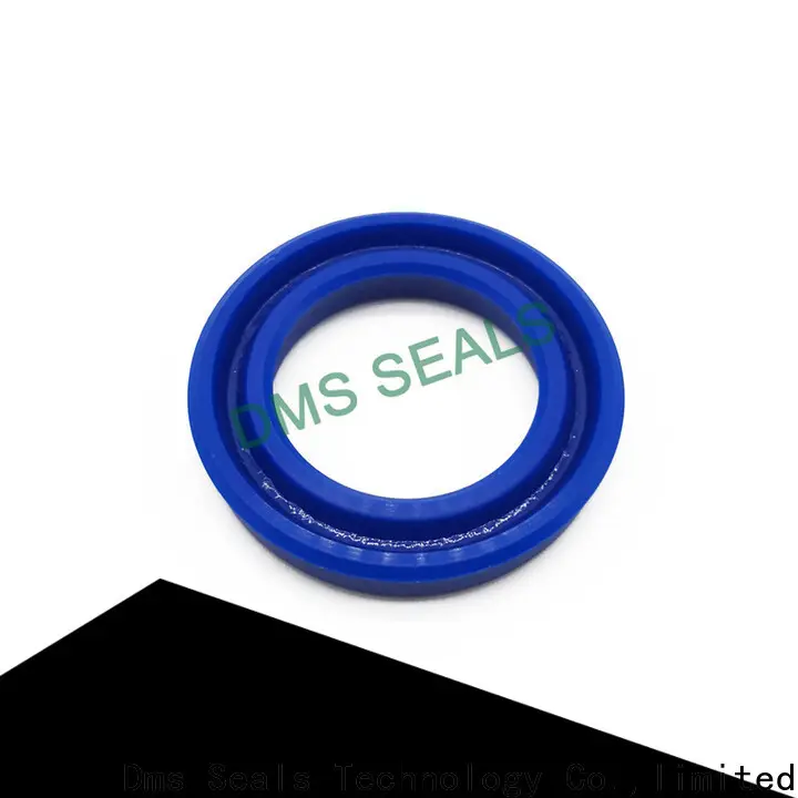 DMS Seals hot sale mechanical shaft seal suppliers glyd ring for larger piston clearance 1
