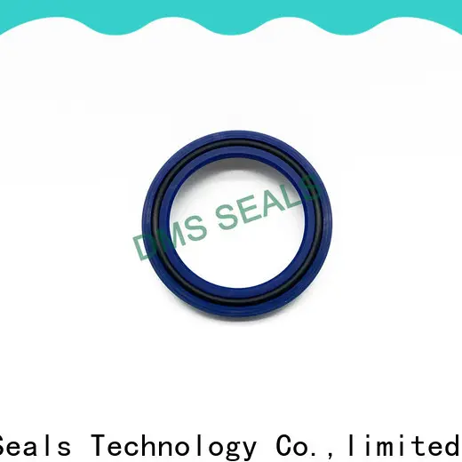 DMS Seals rod seal installation Supply for pressure work and sliding high speed occasions 1