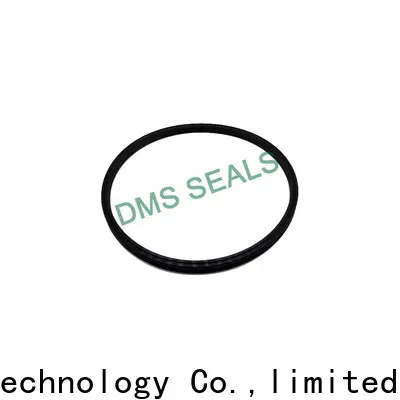 DMS Seals best mechanical pump seals suppliers glyd ring 1