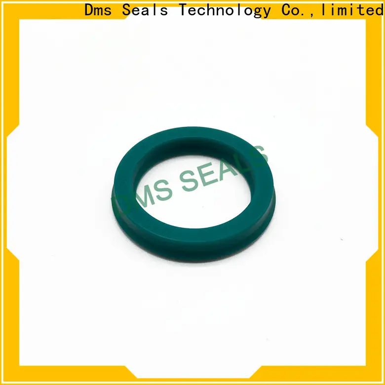 DMS Seals china oil seal manufacturers supplier for larger piston clearance 1