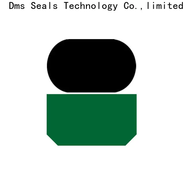 Latest hydraulic oil seal sizes factory for pressure work and sliding high speed occasions 1