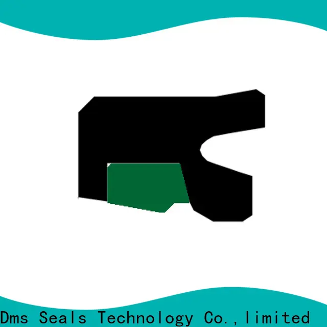 DMS Seals hydraulic cylinder seal compression tool Supply for pressure work and sliding high speed occasions 1
