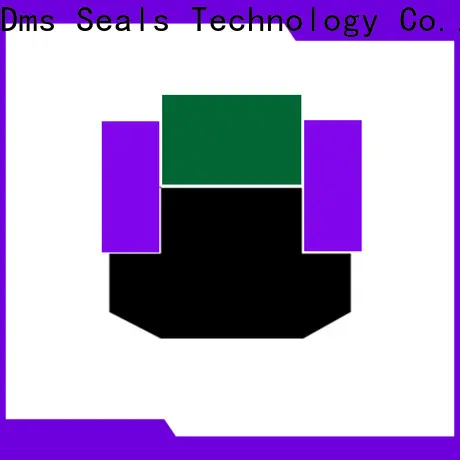 DMS Seals bucket cylinder seal kit company for light and medium hydraulic systems 1