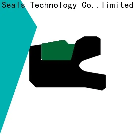 DMS Seals piston seal additive with nbr or fkm o ring for light and medium hydraulic systems 1