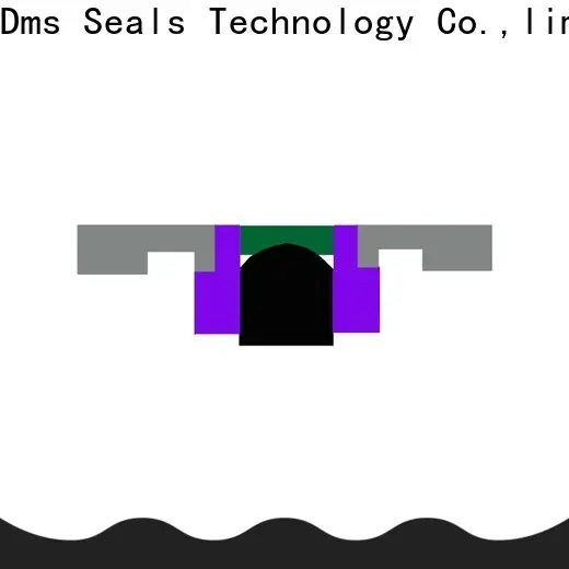 DMS Seals kit seal cylinder Suppliers for pneumatic equipment 1