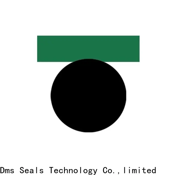 DMS Seals cylinder oil seal Supply for light and medium hydraulic systems 1