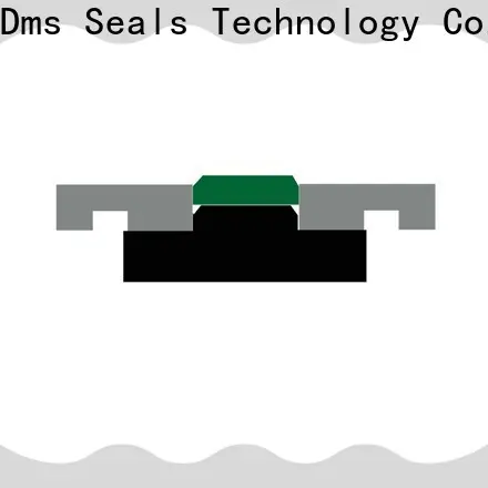 Top seal pro pistons with ptfe nbr and pom for pneumatic equipment 1