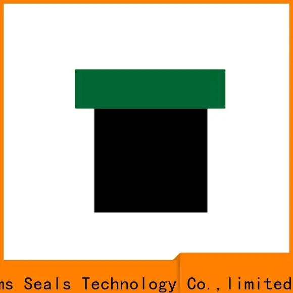 DMS Seals oil seal hydraulic for light and medium hydraulic systems 1