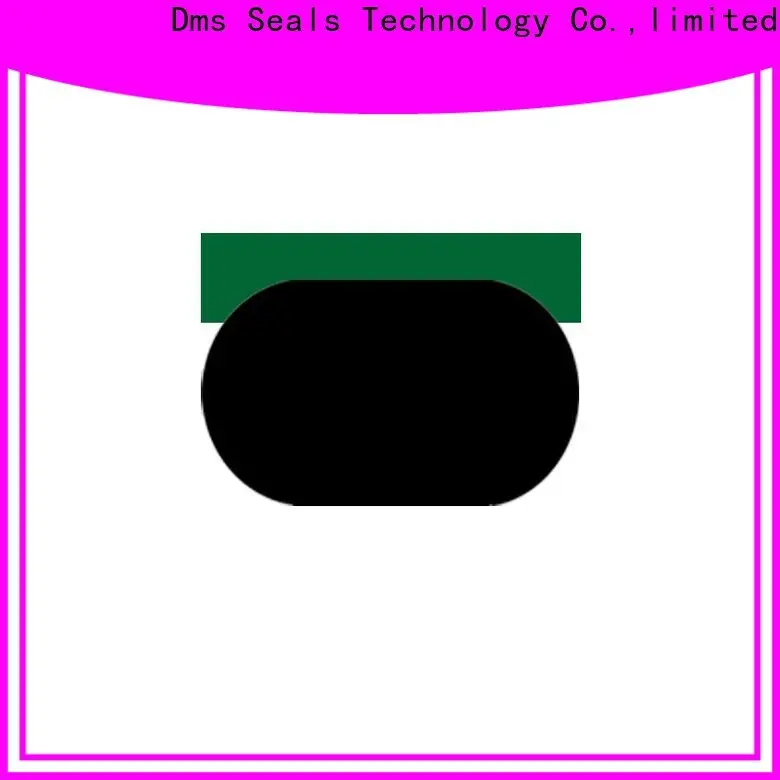 DMS Seals Custom hydraulic cylinder piston seals manufacturer for light and medium hydraulic systems 1