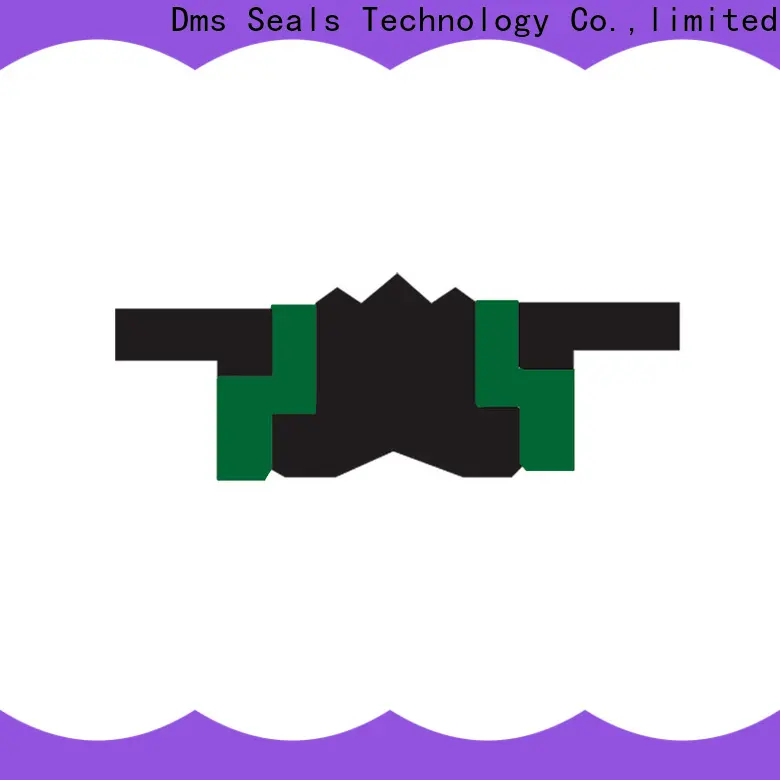DMS Seals Wholesale buy hydraulic seals Supply for sale 1
