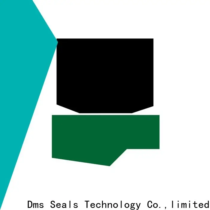 DMS Seals viton rubber seal factory for pressure work and sliding high speed occasions 1