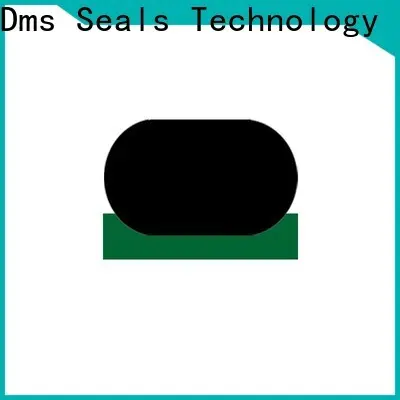 DMS Seals Best hydraulic ram seals online for business for sale 1