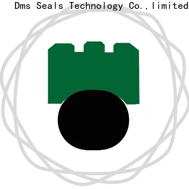 DMS Seals Latest double lip oil seal design manufacturers for construction machinery 1
