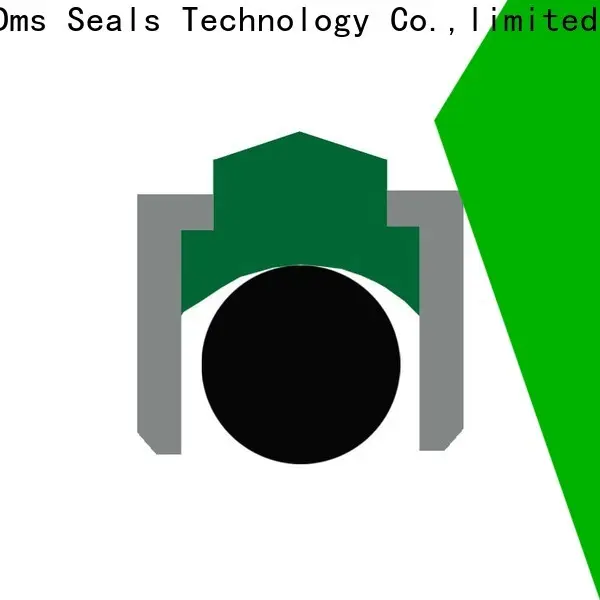 DMS Seals Top cheap oil seals Suppliers for construction machinery 1