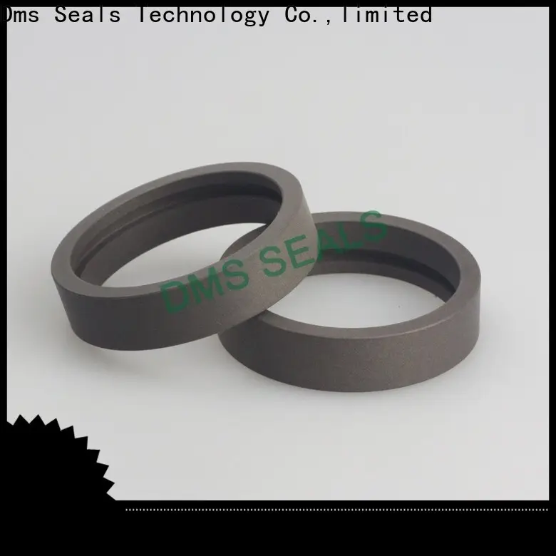 DMS Seals steel ball bearing rollers guide strip as the guide sleeve 1
