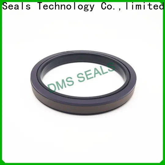 DMS Seals ptfe hydraulic cylinder piston glyd ring for larger piston clearance 1