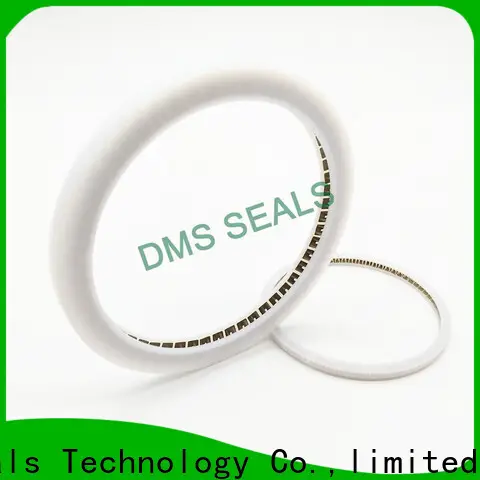 DMS Seals Top mechanical seal ring Supply for aviation 1