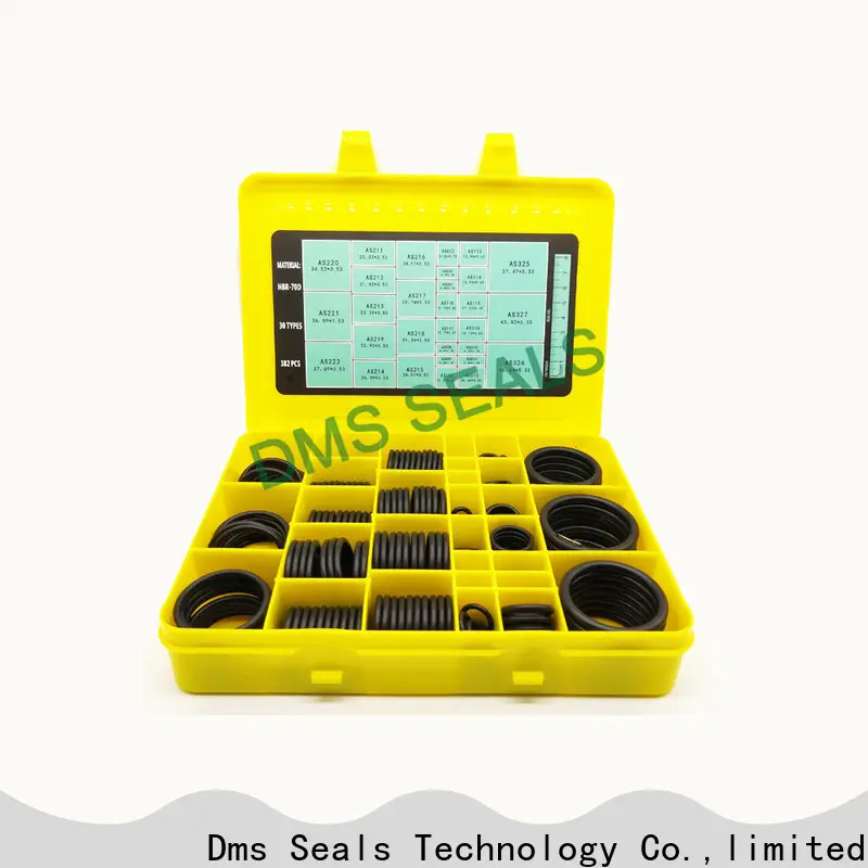 DMS Seals quality m3 o ring manufacturers For sealing 1