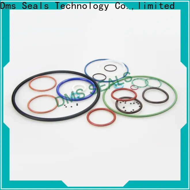 DMS Seals pu o ring coating Supply for static sealing 1