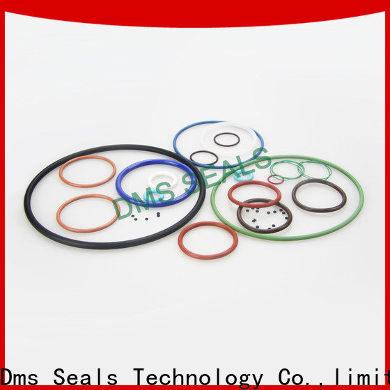DMS Seals pu rubber o ring sealant factory in highly aggressive chemical processing 1