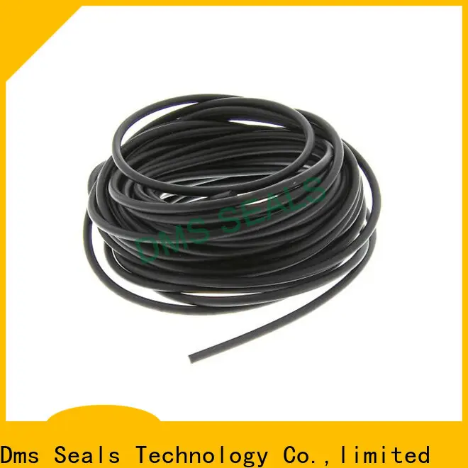 DMS Seals High-quality rubber o ring 5mm Suppliers in highly aggressive chemical processing 1