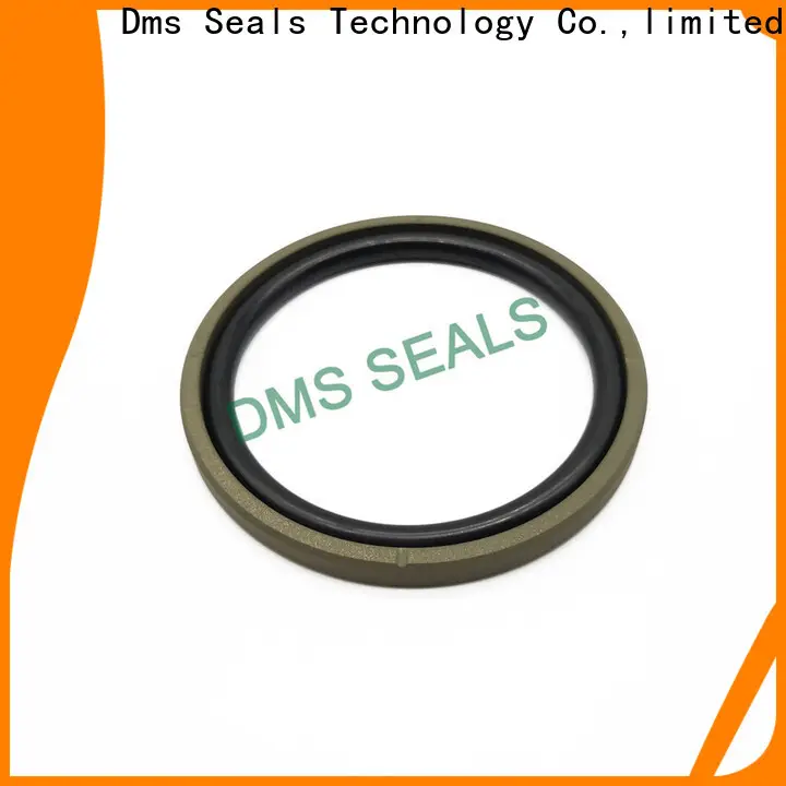 DMS Seals rod seal tool glyd ring for sale 1
