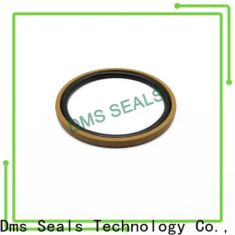 DMS Seals hydraulic piston seals glyd ring for light and medium hydraulic systems 1