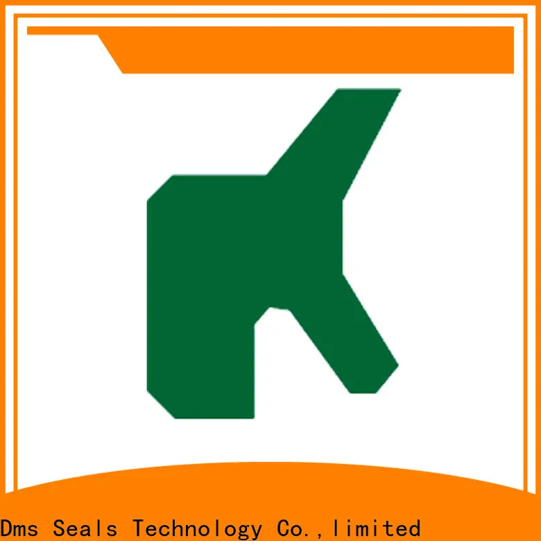 DMS Seals custom wiper seal design guide company for injection molding machines 1