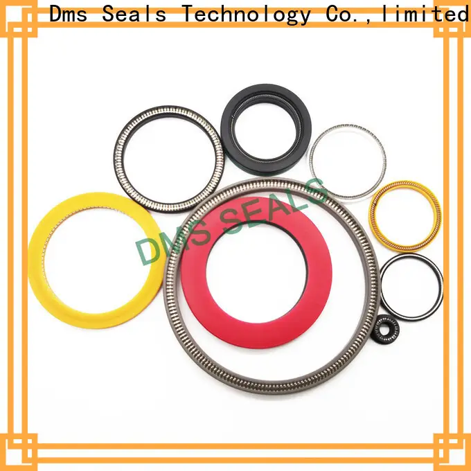 DMS Seals carbon teflon seals for business for aviation 1