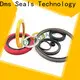 DMS Seals mechanical seal problems manufacturers for reciprocating piston rod or piston single acting seal 1