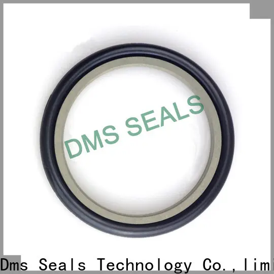 DMS Seals hot sale dust seals suppliers o ring for larger piston clearance 1