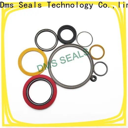 DMS Seals Customized spring energized teflon seals wholesale for cementing 1
