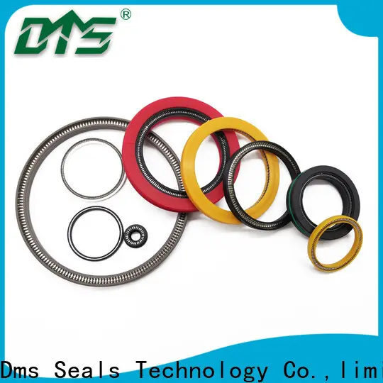 DMS Seals spring energized teflon seals company for valves 1