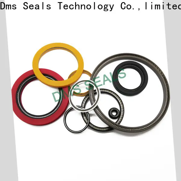Customized energized seal price for valves 1