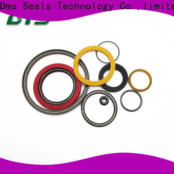 DMS Seals energized seal wholesale for choke lines 1