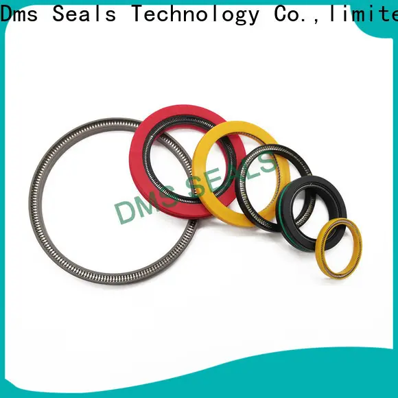 DMS Seals Latest spring energized ptfe seal cost for choke lines 1