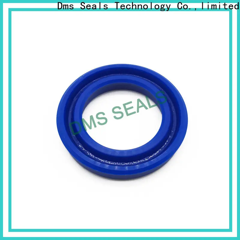 DMS Seals mechanical shaft seals springs glyd ring for piston and hydraulic cylinder 1