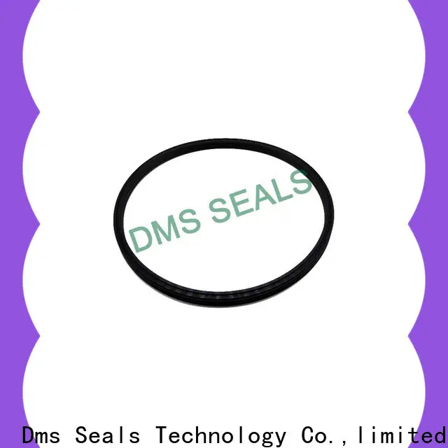 DMS Seals door seal manufacturers glyd ring for larger piston clearance 1