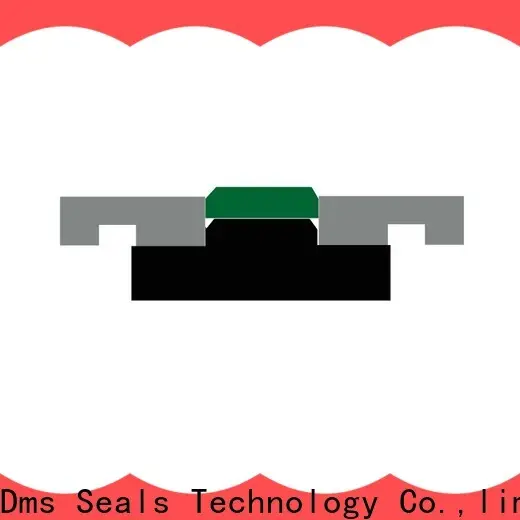 DMS Seals piston washer company for light and medium hydraulic systems 1