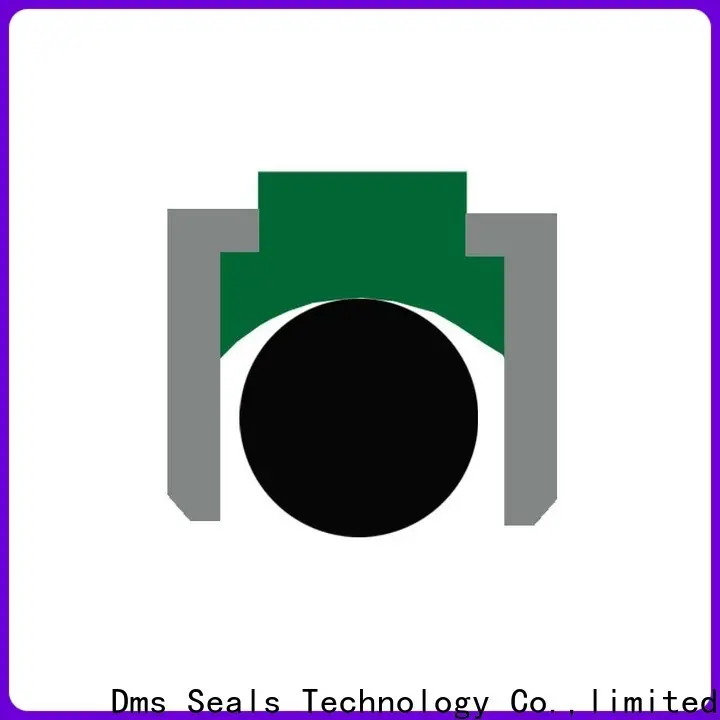 pneumatic cylinder rod seal glyd ring for pneumatic equipment 1